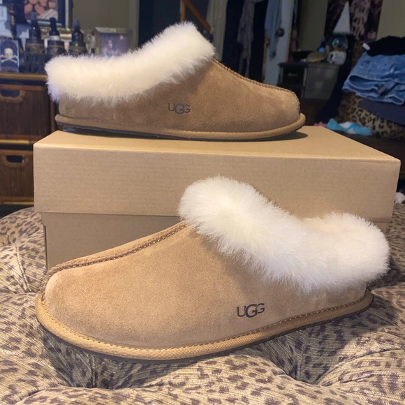 UGG Shoes Nwt Womens Ugg Moraene Slippers Poshmark